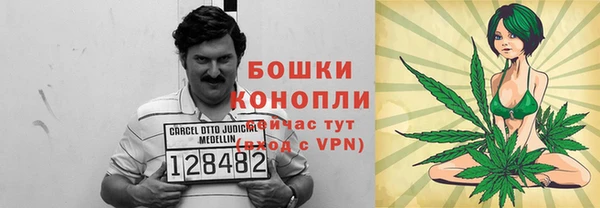 PSILOCYBIN Баксан