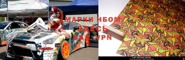 PSILOCYBIN Баксан
