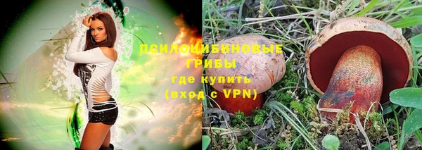 PSILOCYBIN Баксан