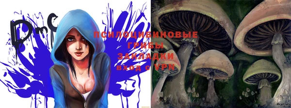 PSILOCYBIN Баксан