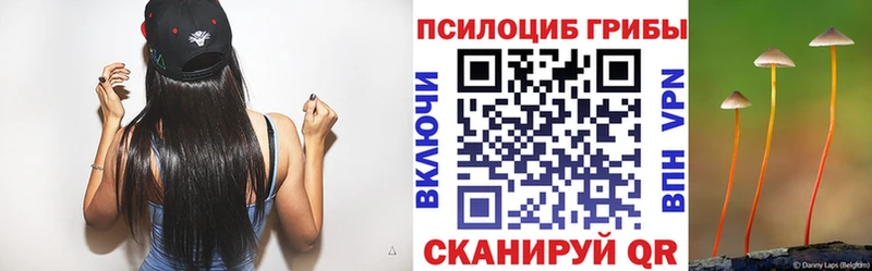 Псилоцибиновые грибы Magic Shrooms  как найти закладки  Ветлуга 