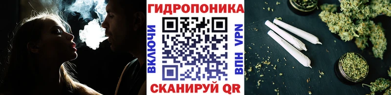 Бошки Шишки White Widow  kraken ТОР  Ветлуга 